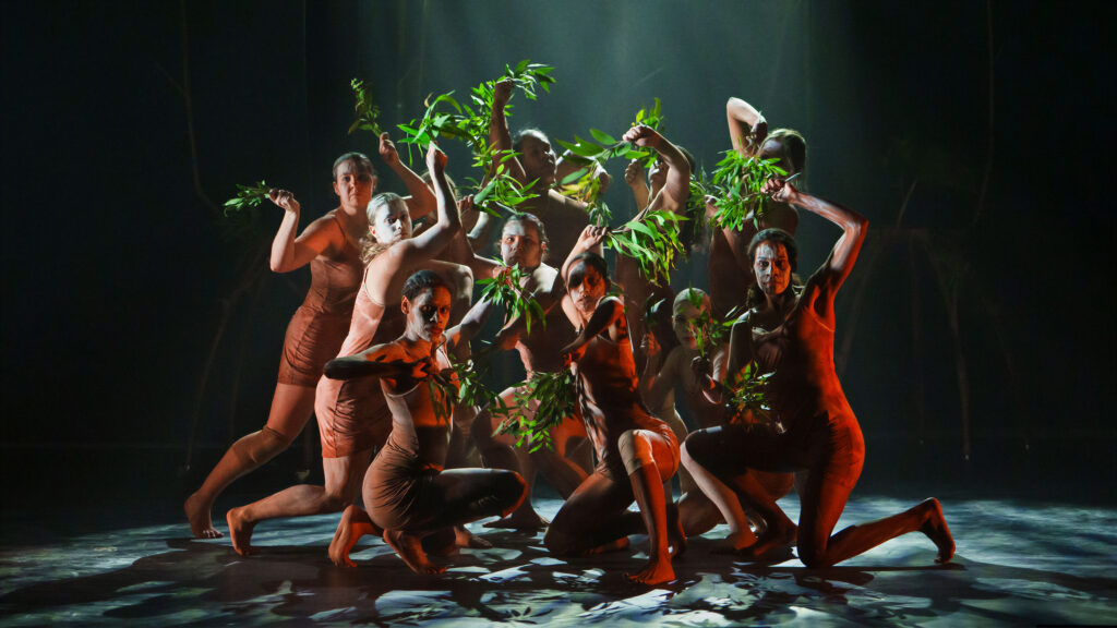 28_Jannawi Dance Clan, Garrigarang Badu, 2026. Image_ Stephen Wilson Barker
