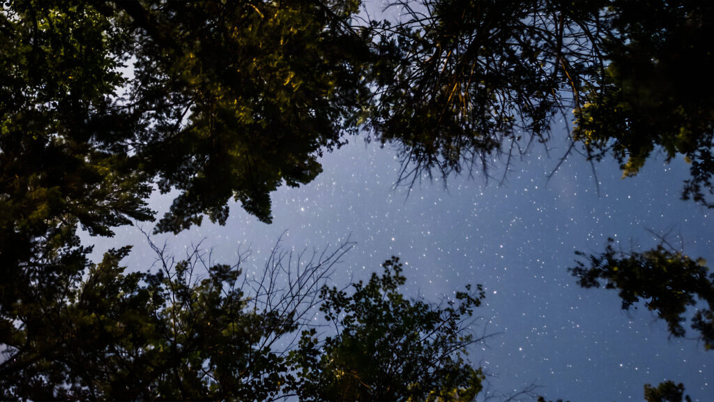32_Swell of Stars - Still image, S. Shakthidharan, Gather Up Your World In One Long Breath. Image_ Motion Powerhouse Studio